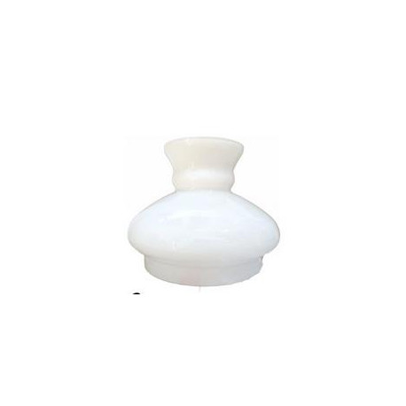 Tulipa 13 cms satinada