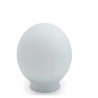 Globo 20 cms vidrio satinado, boca 9.7 cms